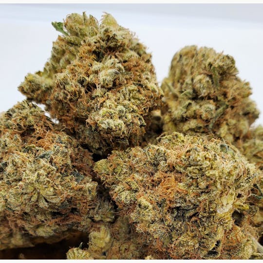 World Class Cannabis - SFV OG Kush 14g - 1