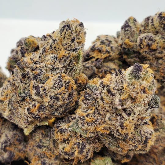 World Class Cannabis - Blueberry Gelato 14g - 1