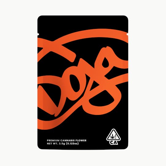 Doja Exclusive - DOJA - MIXED LIGHT - ORANGE Z - 1