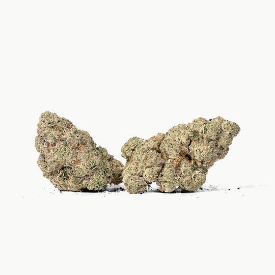 Mohave Cannabis Co. - Jungle Lava | Mohave Minis | 7g - 1