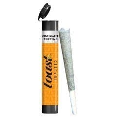 Toast - Toast | Mango Papaya Runtz | Infused Pre-Roll - 1