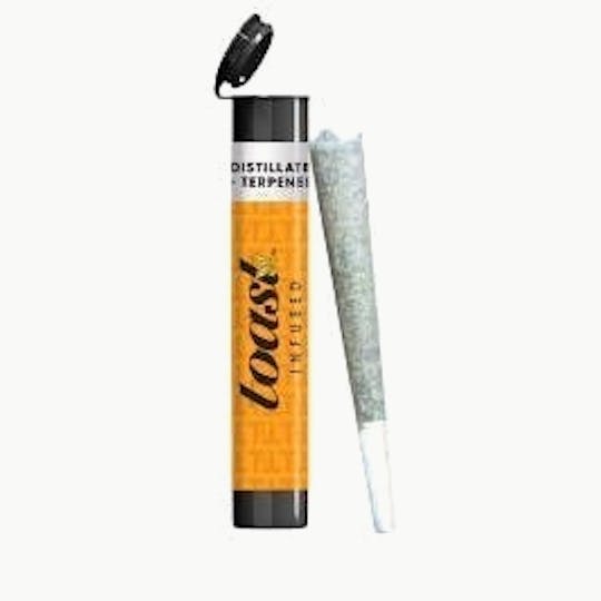 Toast - Toast | Mango Papaya Runtz | Infused Pre-Roll - 1