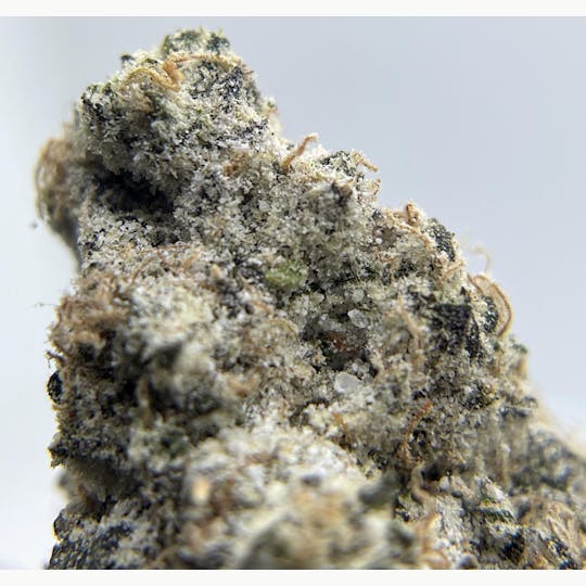 Twenty Two K / 22k - BLACK PEARL - Diamond Coated Indoor - Apple Gas - 3.5g | 1/8oz - 1