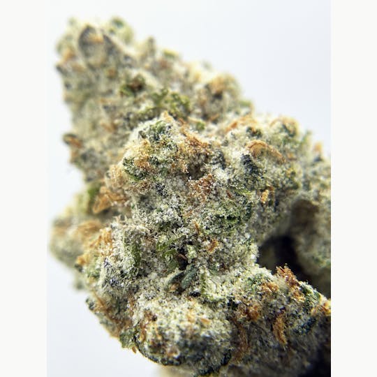 Twenty Two K / 22k - BLACK PEARL - Diamond Coated Indoor - Green Crack - 3.5g | 1/8oz - 1
