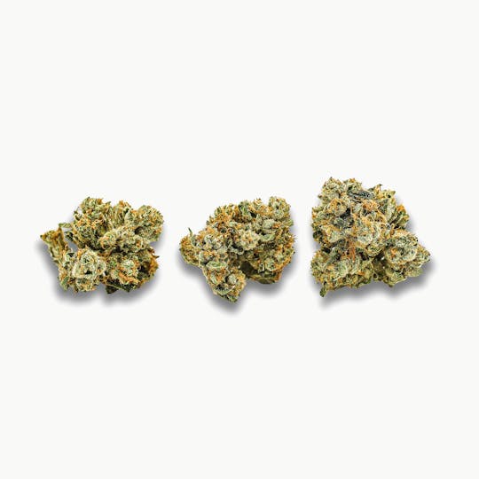 CAM - CAM | Ghost OG - Indoor (1g) - 1