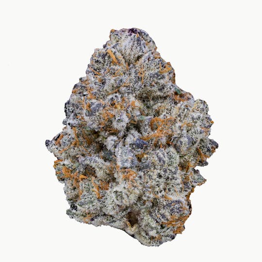 Calyxeum - Blue Cookies Flower - 1