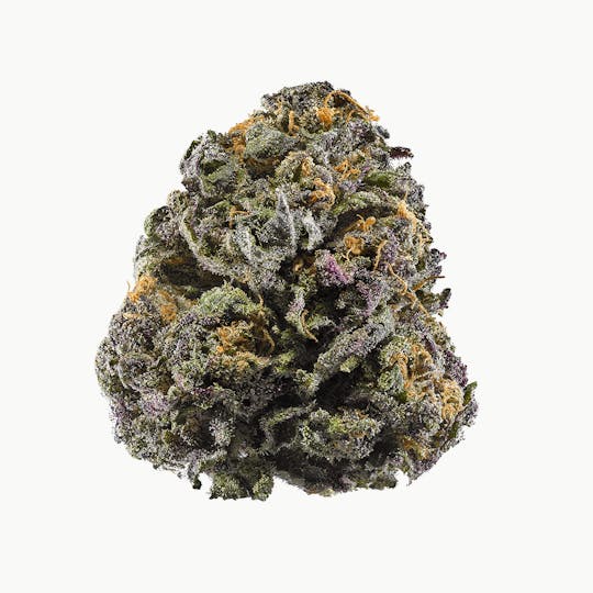 Calyxeum - Purple Pineapple Flower - 1