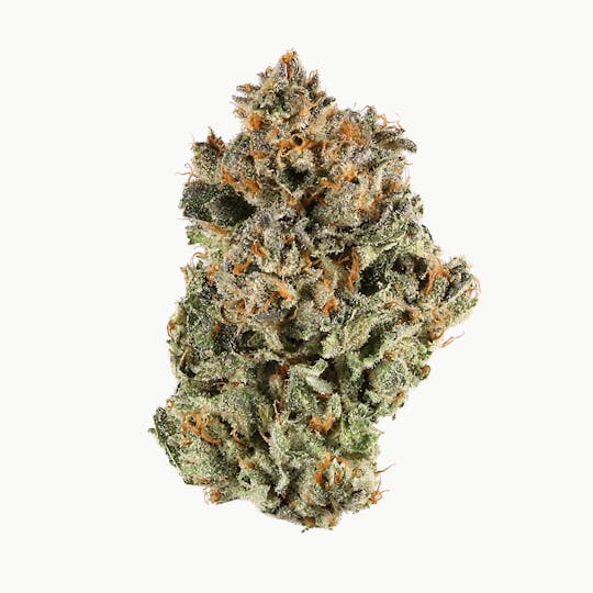 Calyxeum - Glueberry Flower - 1