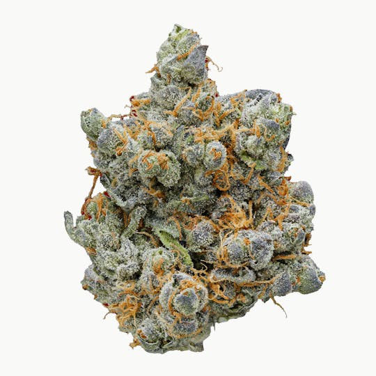 Calyxeum - Sour Sunset Flower - 1