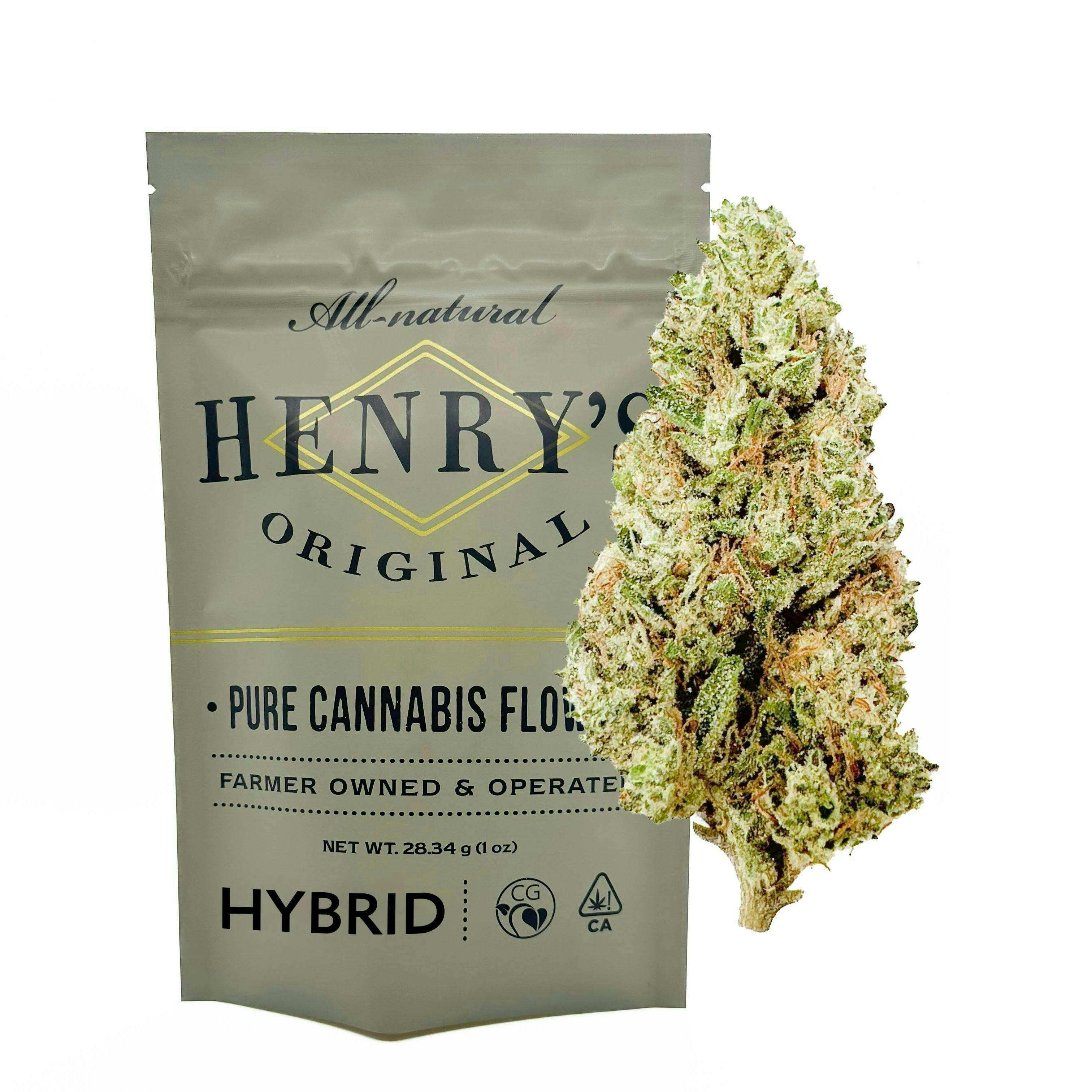 Henry's Original - Henry's Original | Governmint Oasis | Pouch Big Buds | 28g - 1