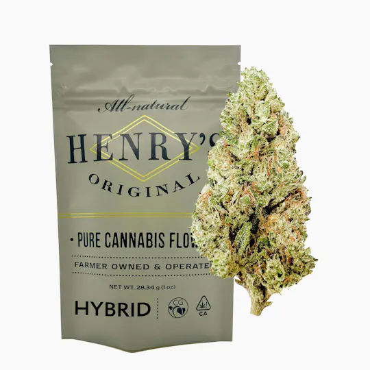 Henry's Original - Henry's Original | Governmint Oasis | Pouch Big Buds | 28g - 1