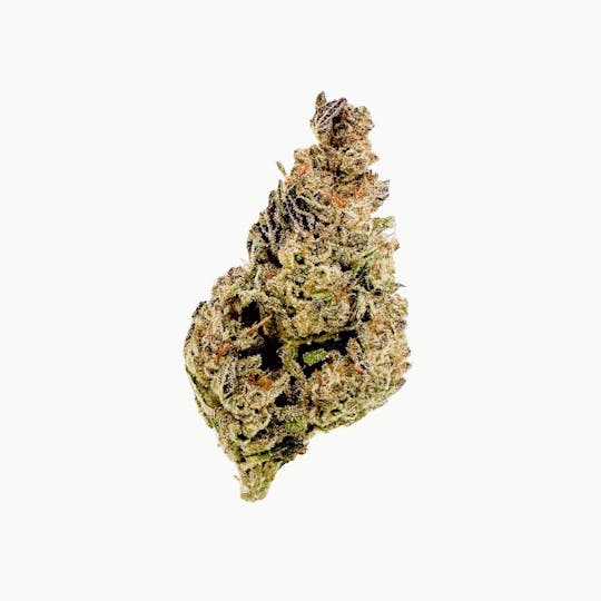 Henry's Original - Pouch Flower- Donny Burger - 1