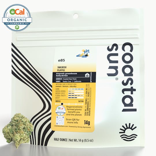 Coastal Sun - E85 Greenhouse Flower 14g - 1