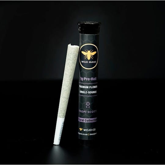 Wojo Co - Caribbean Breeze - 1g Premium Flower Pre-Roll - 1