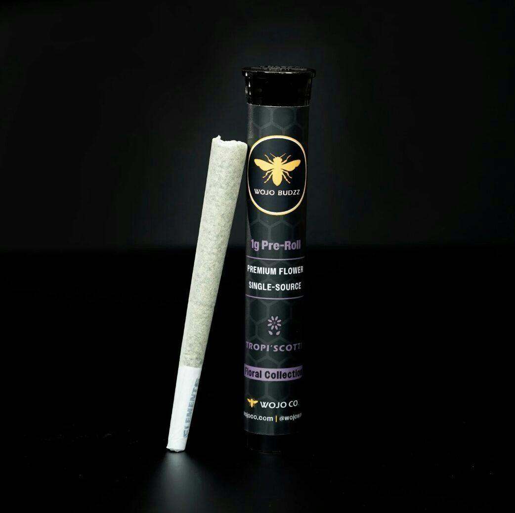 Wojo Co - Rainbow Pave - 1g Premium Flower Pre-Roll - 1