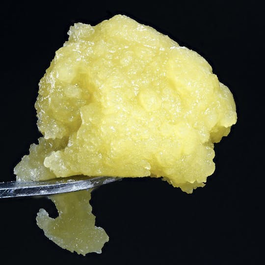 Wojo Co - Wojo Runtz - 1g Live Rosin - 1