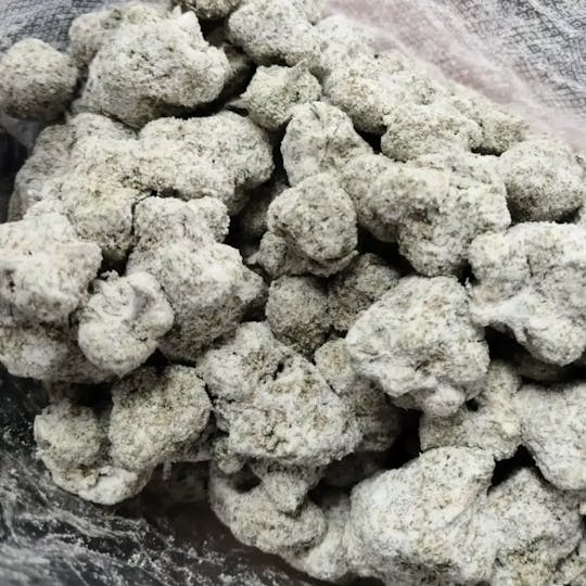 Fresh Canna - Blueberry Lemon Cake - Snow Caps - 1