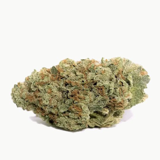 Fresh Canna - Purple Haze - Indoor Bulk Flower - 1