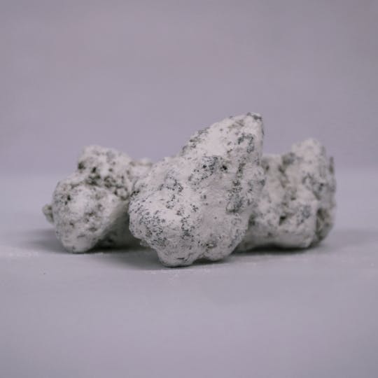 Fresh Canna - Lemon Cake - Snow Caps Smalls - 1