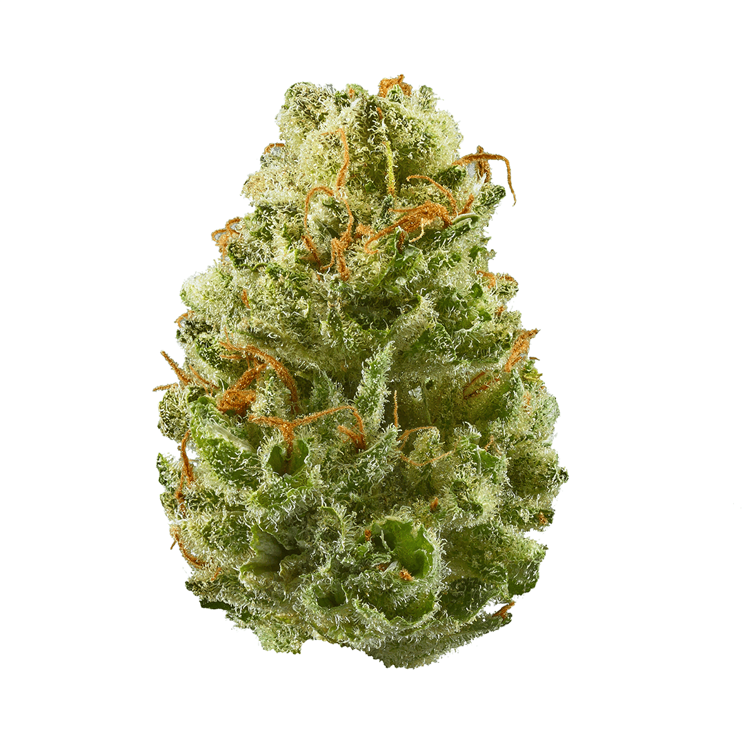 Fresh Canna - Fresh Canna | Strawberry Cough | Big Buds | 3.5g - 1