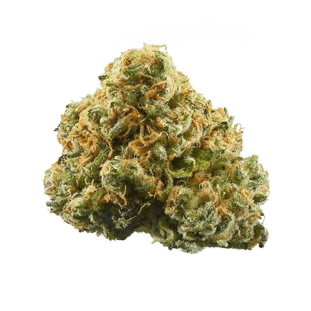 Fresh Canna - Fresh Canna | Pineapple Express | Big Buds | 3.5g - 1