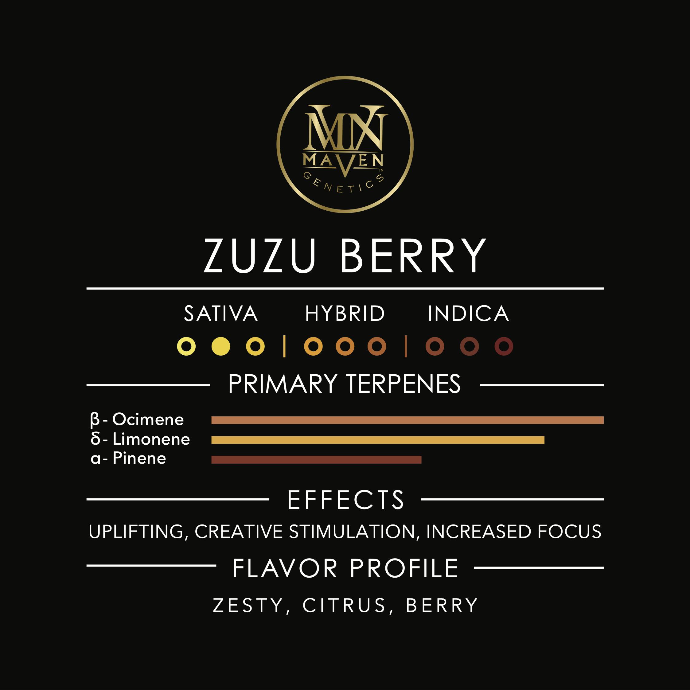 ZuZu Berry Pre-Roll 5-Pack [2.5g] - Maven Genetics