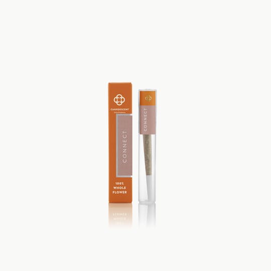 Canndescent - Connect Preroll - 1