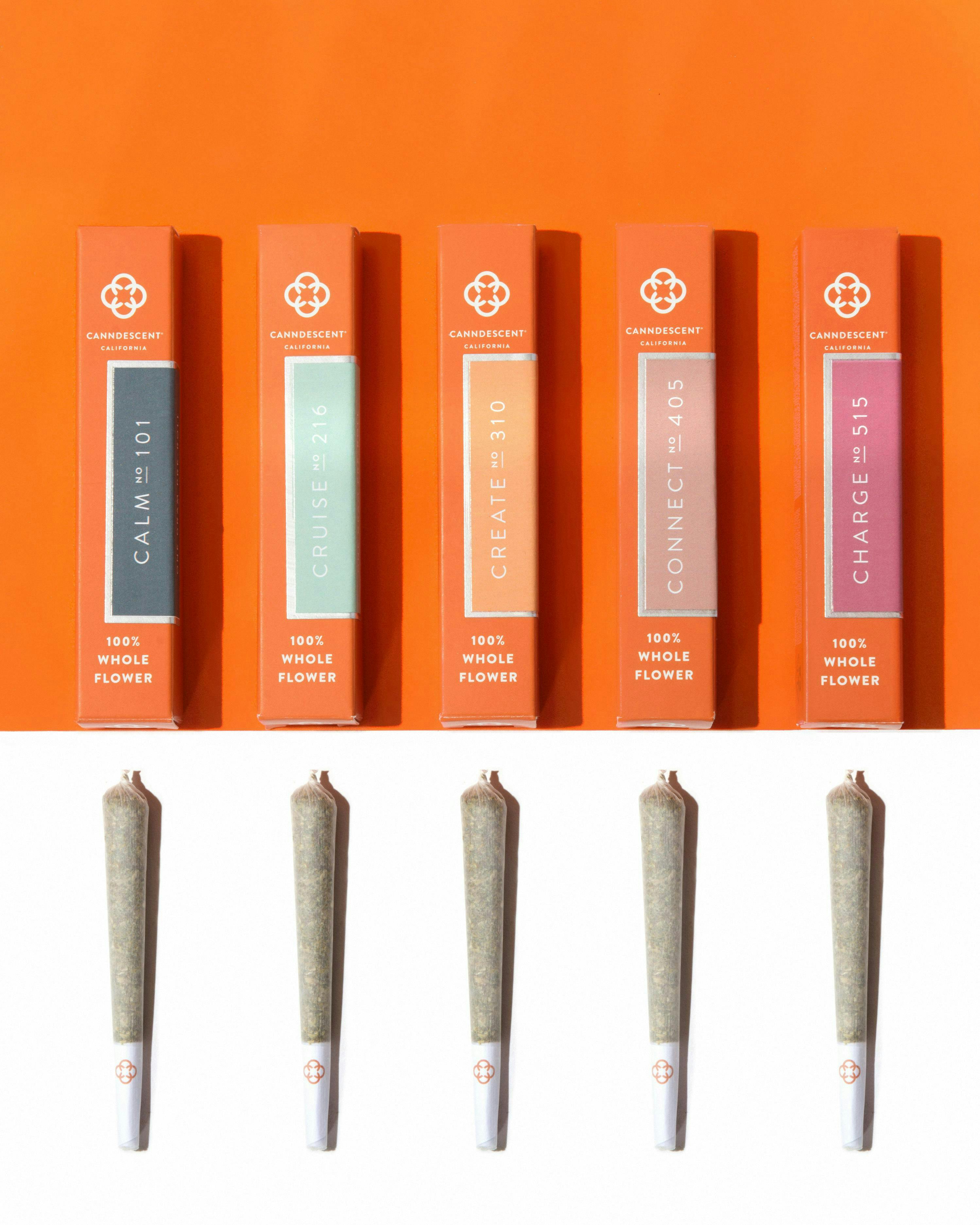 Canndescent - Canndescent | CRUISE | Joint | 1g - 1