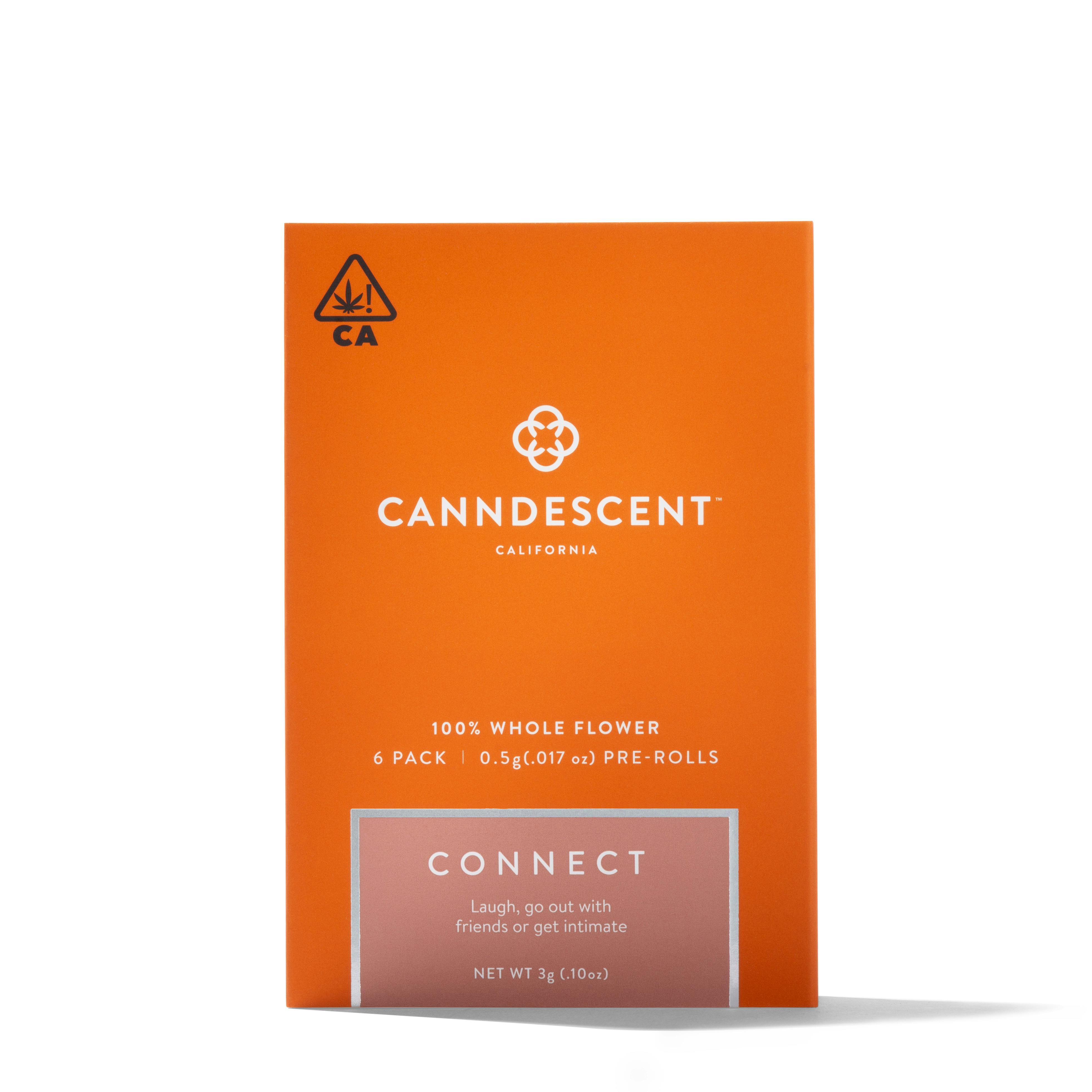 Canndescent - Create - 6 Pack Minis - 1