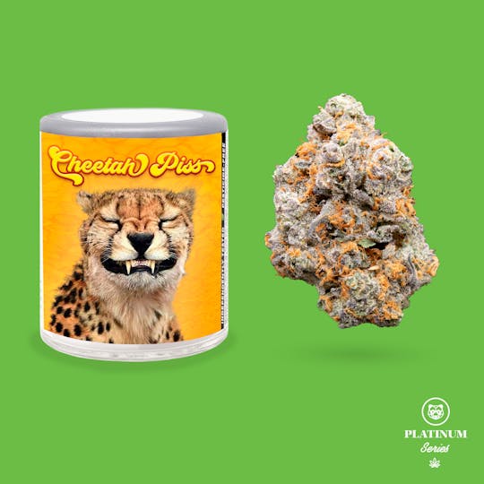Phat Panda - Cheetah Piss 3.5g - CA - 1