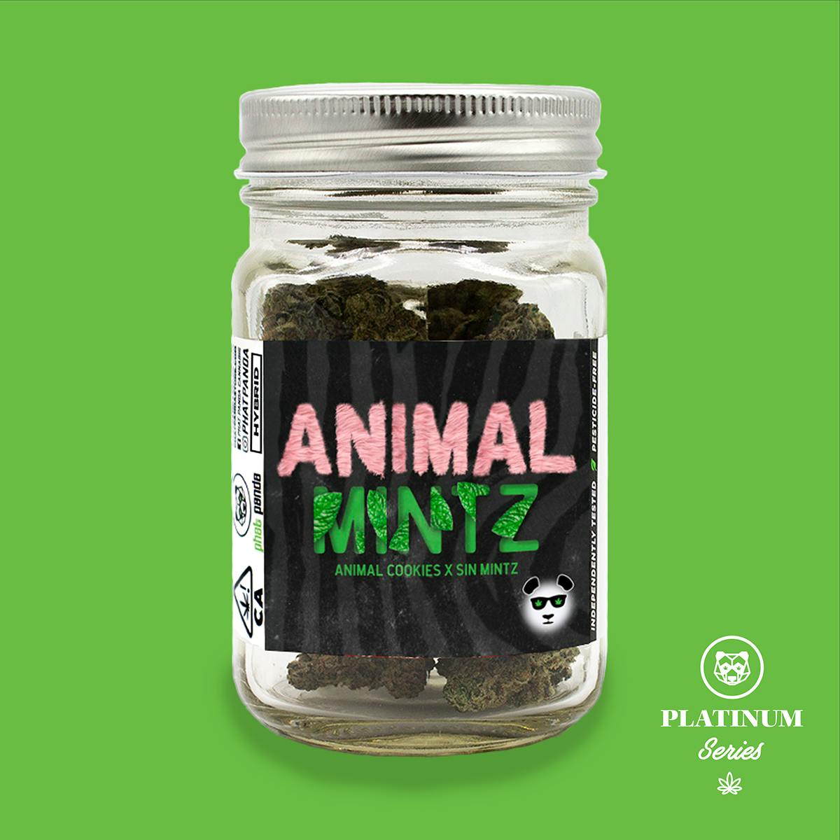 Phat Panda - Animal Mintz Mason Jar - CA - 1