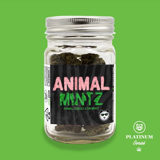 Phat Panda - Animal Mintz Mason Jar - CA - 1