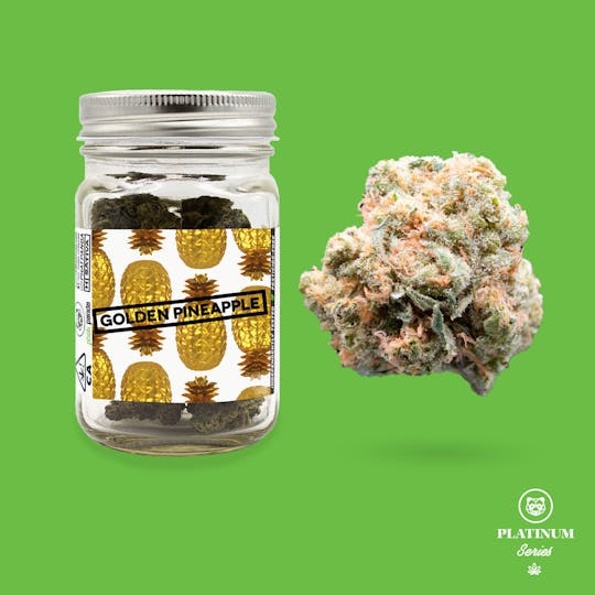 Phat Panda - Golden Pineapple 14g - CA - 1