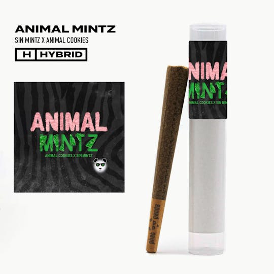 Phat Panda - Animal Mintz - Preroll - CA - 1
