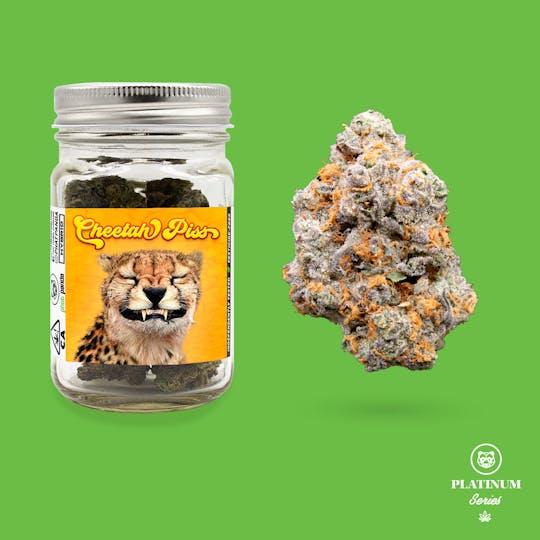 Phat Panda - Cheetah Piss 14g - CA - 1