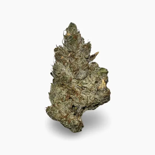 Indico - Black Maple $100oz smalls - Indico - 1