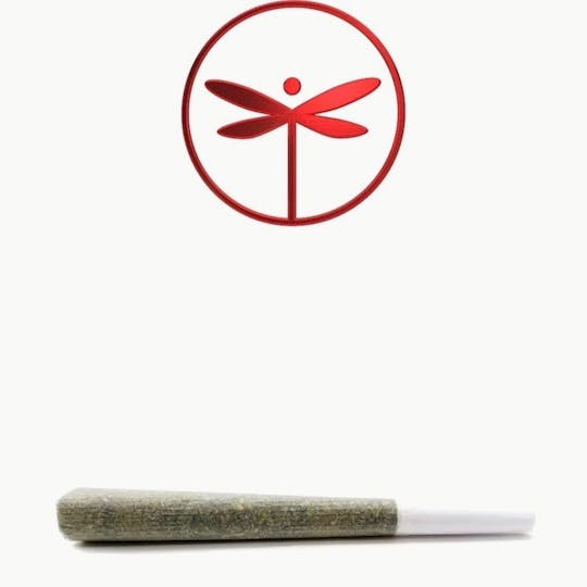 Dragonfly - Dragonfly - Red Razzleberry - 1.25g Pre Roll - 1