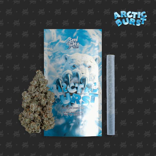 Seed Junky - ARCTIC BURST (1G Pre-Roll) - 1