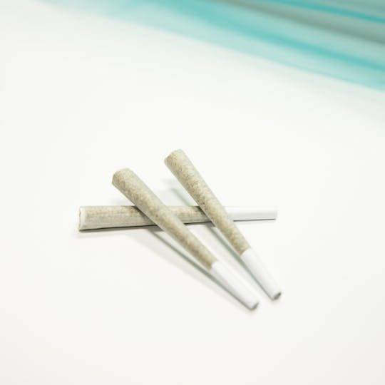 Glenna's - Lemon Cherry Sherbet 1g Preroll - 1