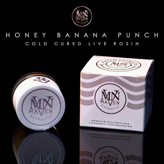 Maven Genetics - Honey Banana Punch Cold Cured Live Rosin - 1