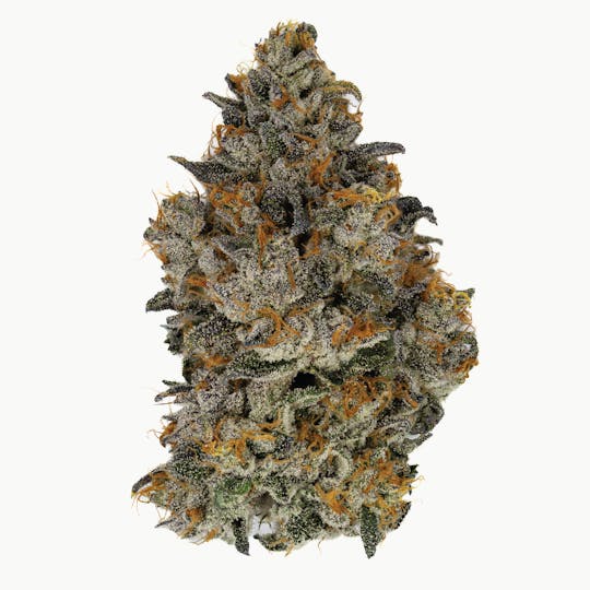 Ember Valley - Gelato 41 7G - 1