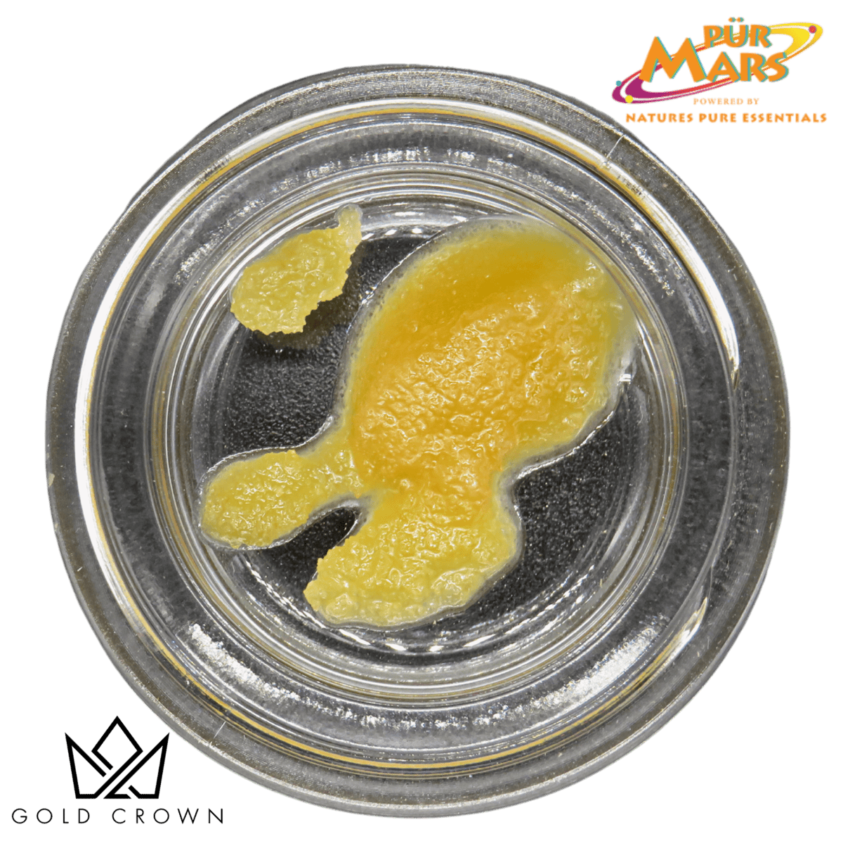 Gold Crown - Gold Crown | Mimosa | Sugar | 1g - 1