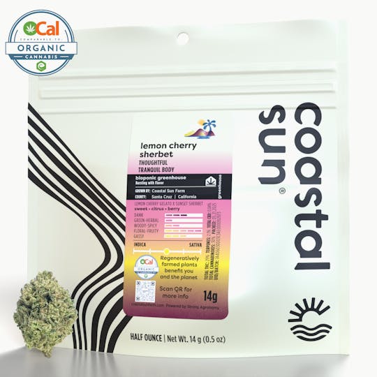 Coastal Sun - Lemon Cherry Sherbet Greenhouse Flower 14g - 1