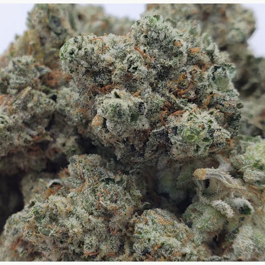 World Class Cannabis - Gorilla Glue #4 - 1