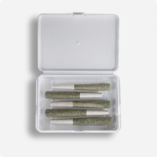Generic AF - Gorilla Glue x Garlicane | Hybrid AF | 0.5g Ea. | 5-Pack - 1