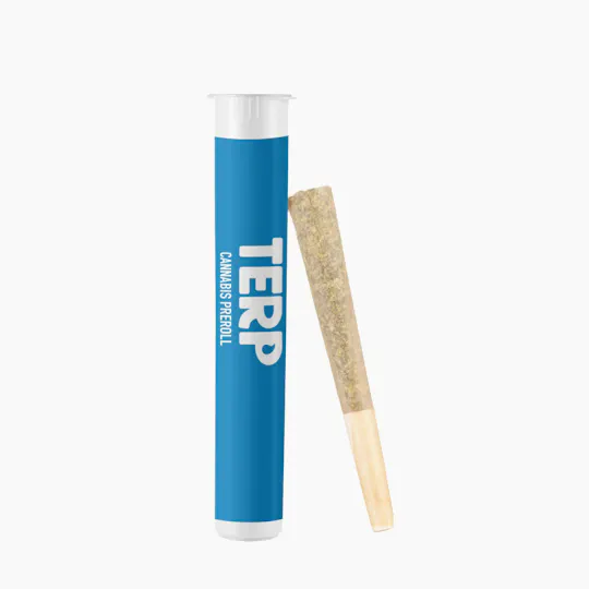 TERP Brand - TERP Brand | Hybrid | Joint | 1g - 1