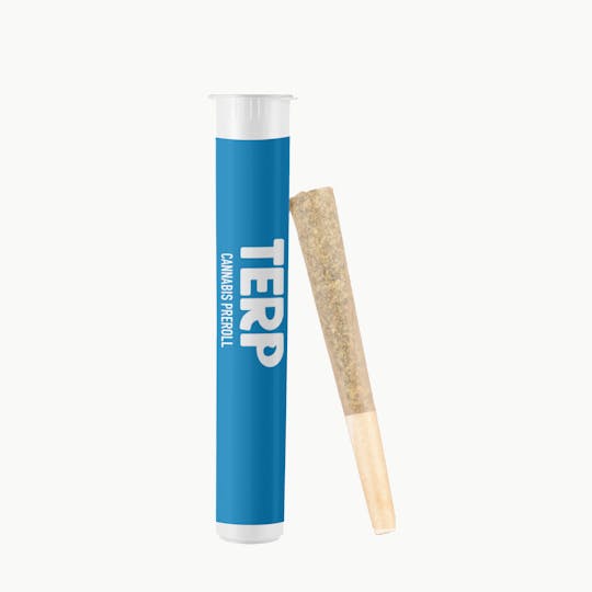 TERP Brand - TERP 1G Preroll - Indica - 1