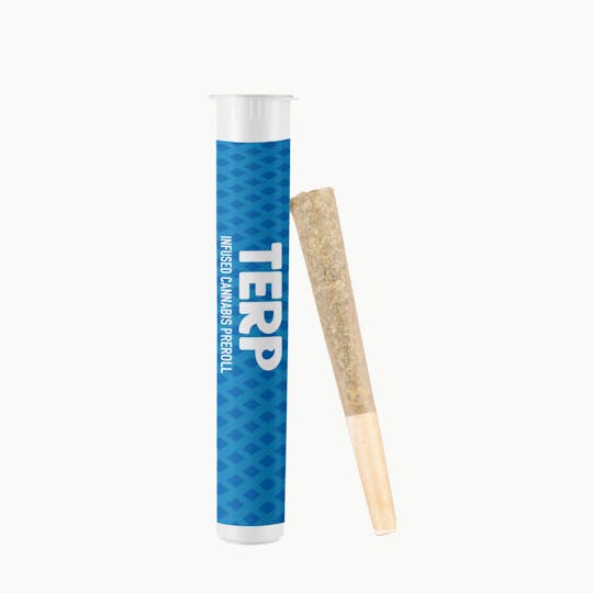 TERP Brand - TERP 1G Infused Preroll - Indica - 1