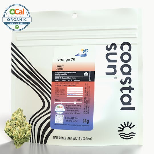 Coastal Sun - Orange 76 Greenhouse Flower 14g - 1