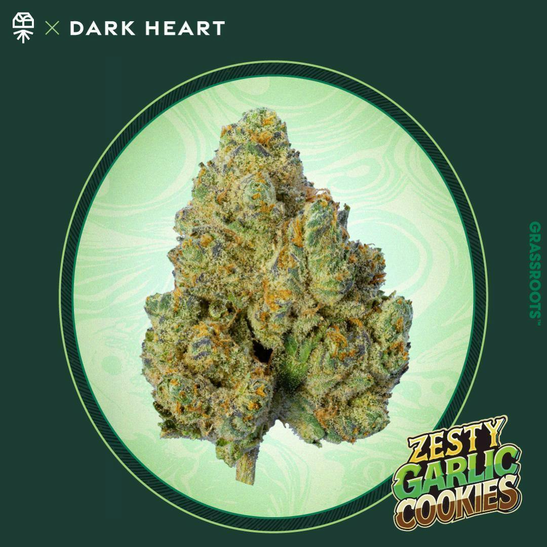 Grassroots - Zesty Garlic Cookies Whole Flower - Dark Heart Collection - 1